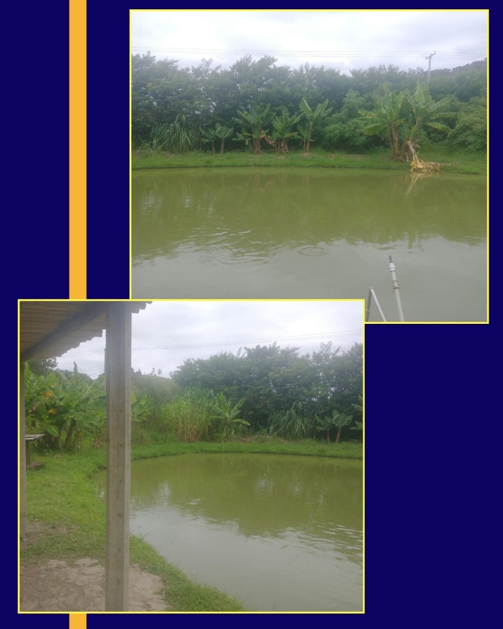 CHACARA EM BATATUBA PIRACAIA