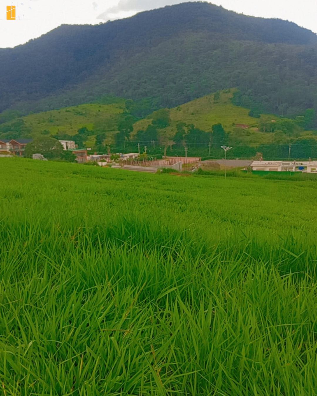 TERRENO EM PORTAL LAMIS DE 300M2  ATIBAIA V26